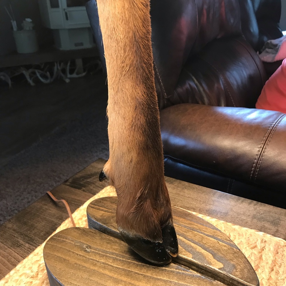 Authentic custom made Elk Leg lamp